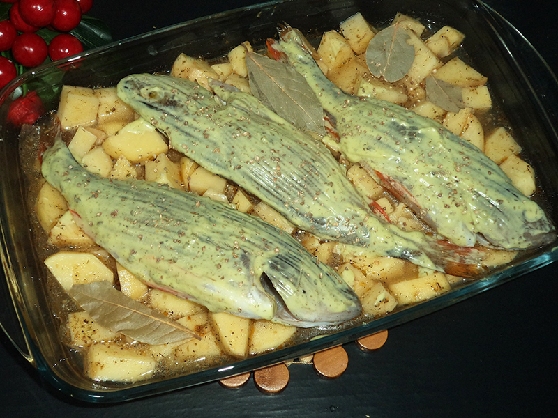Щука рецепт в духовке пошаговой. Речная рыба в духовке. Речная рыба в духовке с картошкой. Щука в духовке с картофелем. Рыба окунь с картошкой в духовке.