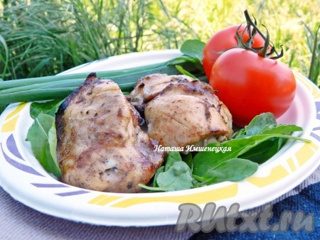 Нежный и сочный шашлык из курицы в соевом соусе готов. Подавать в горячем виде со свежими овощами и зеленью.