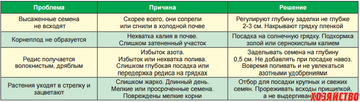 Проблемы овощных культур