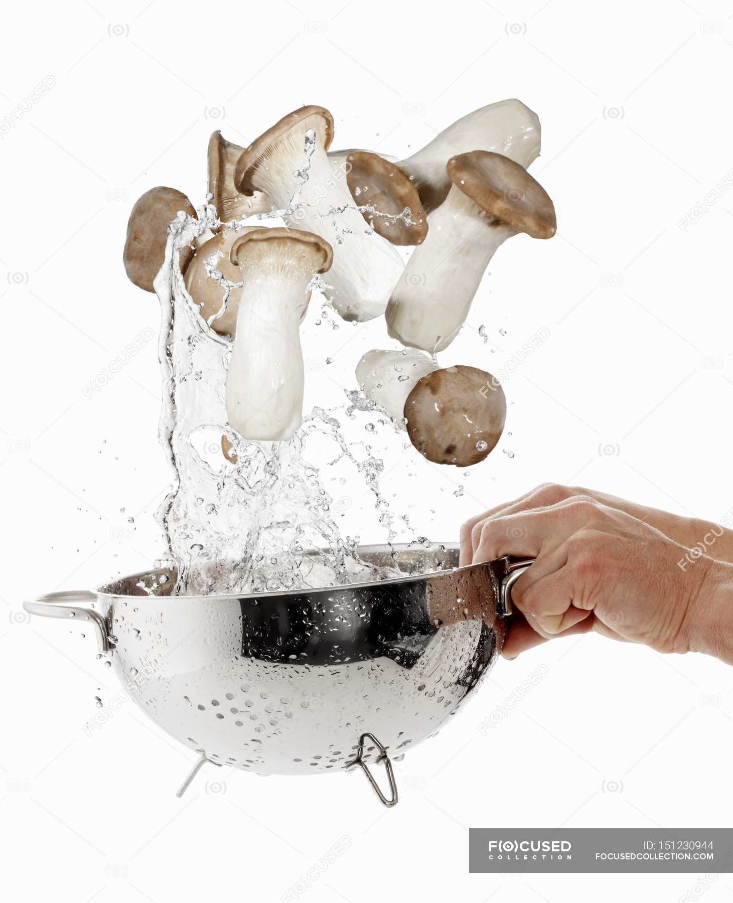 Нужно мыть грибы. Мытье грибов. Грибы мытые. Помыть грибы. Мытье шампиньонов.