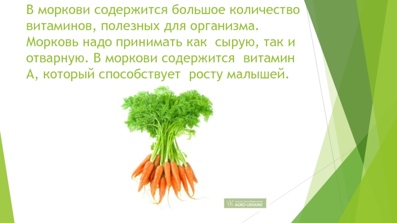 Что содержится в моркови. Витамины в моркови сырой. Что содержит морковь. Морковь полезна для роста.