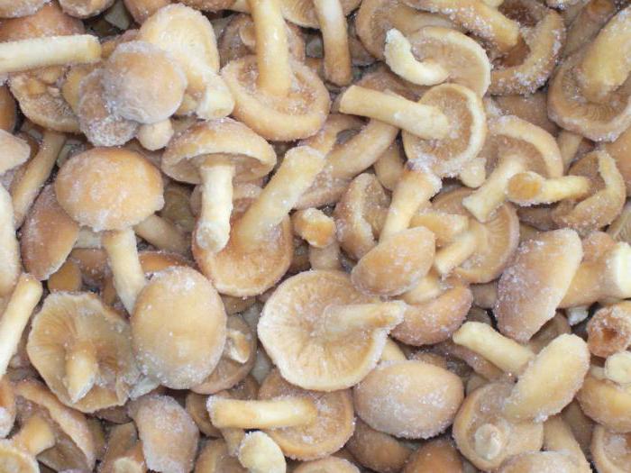  Lee frozen mushrooms for the winter 