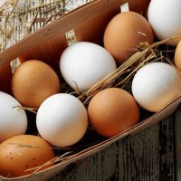 Какие куриные яйца лучше — коричневые или белые?