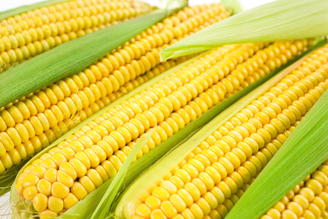 Как правильно готовить кукурузу