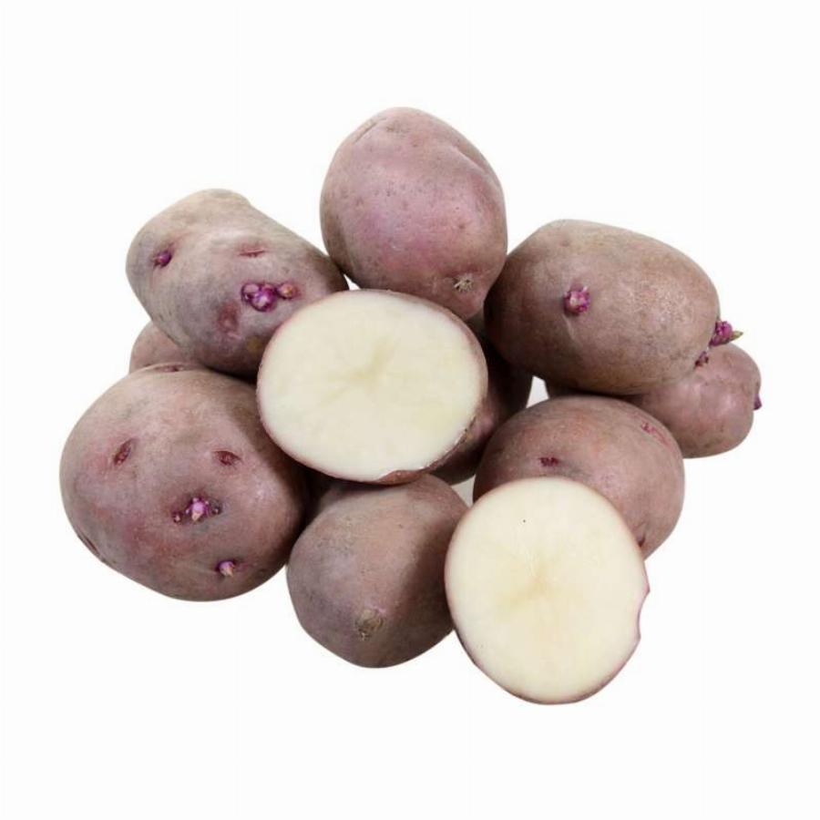 Снегирь картофель характеристика отзывы. Картофель семенной Беллароза. Картофель семенной ранний Беллароза. Картофель сорт Лабадия. Сорт Беллароза.